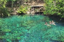 Cenotes Casa Tortugas Tour