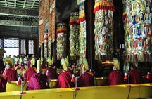 4-Hour Private Tour: Lama Temple, Confucius Temple, Guozijian Museum with Dim Sum