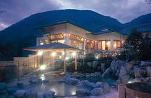 Lake Ashi Hakone Owakudani Kowakien with daily chauffeur