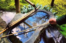 Kyoto Private magical Tour with a local guide