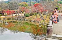 Kyoto Private magical Tour with a local guide