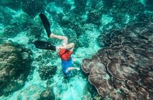 Koh Tao VIP Snorkelling Tour 