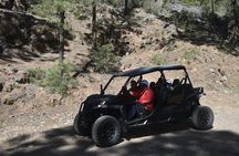 Buggy tour to Teide in Tenerife