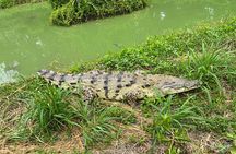 Private Reptile Zoo Adventure Tour with Guide in Cartagena 
