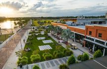Private Tampa City Tour by Custom Golf Cart 