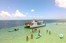 All-Inclusive Sandbar Safari with Dolphin Playground Encounter 