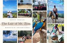 Horseback Riding, ATV & More in the Mountains of Montego Bay