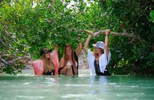 Full Day Charter Snorkeling Sandbar and Eco Safari Adventure