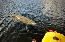National Park Pedal Kayak Tours in New Smyrna Beach
