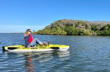 National Park Pedal Kayak Tours in New Smyrna Beach