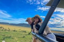 3 days Serengeti Trails with Kojuu Safaris Africa - Comfort Plus 