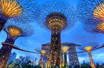 Private Singapore Night Tour with Gardens by the Bay&River Cruise