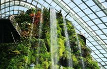 Private Singapore Night Tour with Gardens by the Bay&River Cruise
