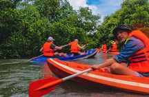 Bali Mangrove Canoeing Tour