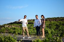 Premium Wine Tasting with Caldera Views
