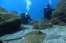 Discover Scuba Diving in Tenerife