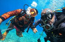 Discover Scuba Diving in Tenerife
