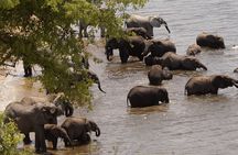 7-Day Victoria Falls, Chobe and Hwange Safari Tour