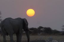 7-Day Victoria Falls, Chobe and Hwange Safari Tour