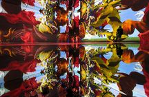 Frameless - Immersive Art Experience in London