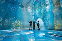 Frameless - Immersive Art Experience in London
