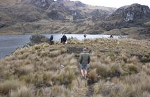 7D Quito Guayaquil: Cotopaxi, Quilotoa, Baños, Amazon, Chimborazo