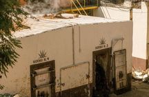 Private Tour Cascahuin Distillery and visit to Tequila