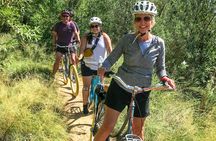 Guided Bicycle Nature Tour of Albuquerque - Daily