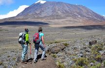 7-Day Mountain Climbing in Machame Route 