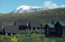 Private Full Day Hiking Experience to Marangu Route 