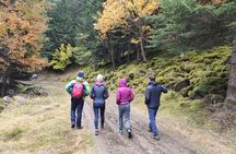 Pyrenees Hiking Experience from Barcelona. Small Group Tour