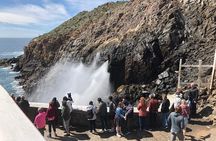 Private La Bufadora Tour (blowhole)