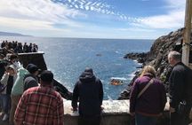 Private La Bufadora Tour (blowhole)