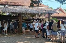 The Mekong Silk Island Guided Cruise (Private tour)