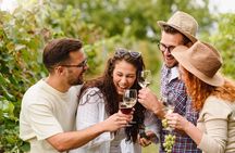 Grape Escapes Wine Full-Day Private Tour in Ithaca