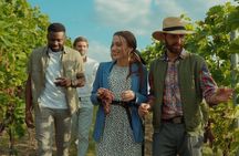 Grape Escapes Wine Full-Day Private Tour in Ithaca
