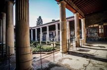 Pompeii Excavations Tour from Maiori