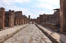 Pompeii Tour with Lunch and Wine Tasting from Positano