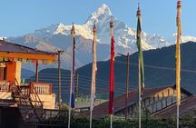 Morning Half Day Tibetan cultural tour to Tibetan Settlements