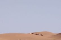 8 Day Tour Casablanca to Marrakech via Sahara and Chefchaouen