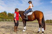  Alanya Horseback Riding in the Taurus Mountains with Transfer 