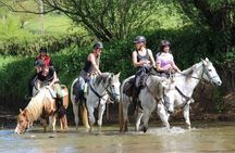  Alanya Horseback Riding in the Taurus Mountains with Transfer 
