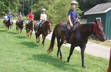  Alanya Horseback Riding in the Taurus Mountains with Transfer 