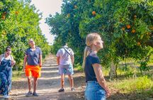 "Side: 5-in-1 Green Canyon, Waterfalls & Ancient Sites Tour"