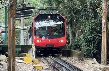 Rio de Janeiro: Private Full-Day Highlights Tour