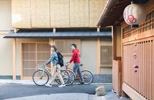 Private Cycling Tour by e-bike (PM; with an authorized guide)