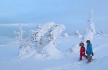 Scenic Snowshoeing on the Top of Pyhä Fell