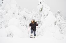 Scenic Snowshoeing on the Top of Pyhä Fell