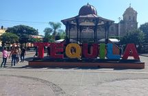 Full-Day Private Tour in Guadalajara