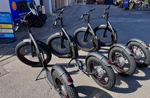 E-Scooter "Stand Up Kick Bike" 2 Hour Guided Copenhagen Tour